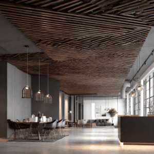 Acoustic Drop Ceiling